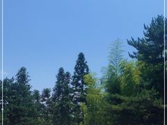 -罗田薄刀峰风景区