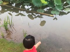 -沐仙湖湿地公园