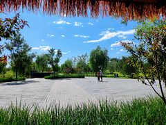 -张家湾公园