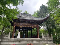-汇龙潭