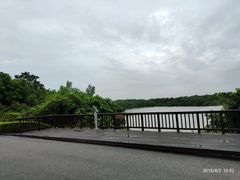 -大湾区中央湿地公园