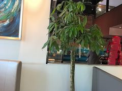 -洞庭鱼香(万科店)