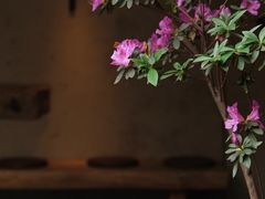 -元古雲境(太古里店)