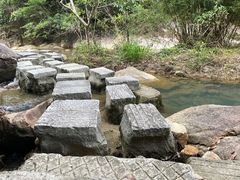 -广州白江湖森林公园