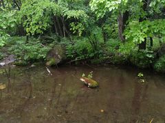 -玉渡山自然风景区