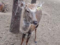 -赛汗塔拉风情园