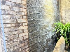 -巢湖名吃·东关老鹅汤(江南风情街店)
