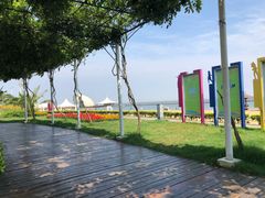 -碧海金沙