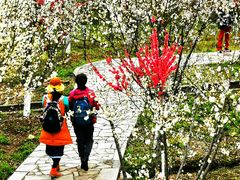 -常德桃花源景区