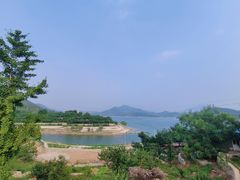 -望湖烤鱼