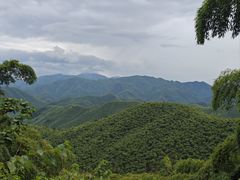 -莫干山风景区