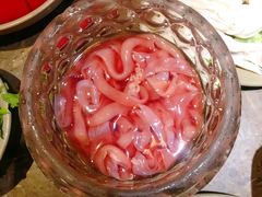 鲜鸭肠-重庆渝达老火锅(春熙路店)