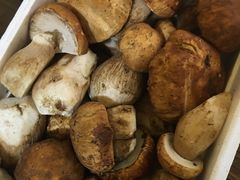 炒野生菌-唠叨坊私房菜(五一街店)