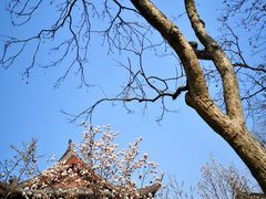 -杭州西湖风景名胜区-钱祠表忠