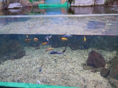 -常州海昌海洋探索馆