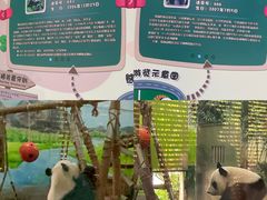-柳州市动物园