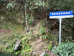 -十八棵（老龙井）御茶园(老龙井店)