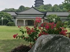 -浙江西子宾馆·瑶园咖啡厅