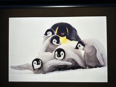 -罗红摄影艺术馆