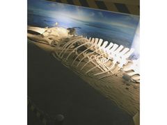 -南通博物苑-崇川人民公园