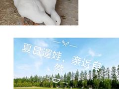 -前小桔亲子创意农场·草莓采摘·露营烧烤