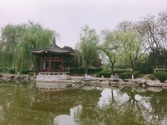 -西安青龙寺遗址景区