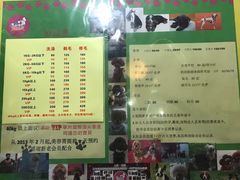 -傲雄叮叮宠物会所(御桥路店)
