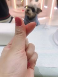 -好看加白色房子
