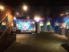 -绮丽珊瑚(台北101旗舰门市店)