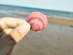 -北戴河圣蓝海洋公园