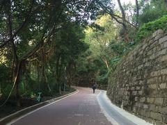 -金鸡山公园