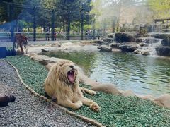 -北京野生动物园