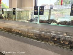 -山海经·海边人家 海鲜新青岛菜(扬州路店)