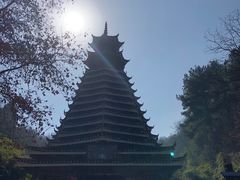 -阿哈湖国家湿地公园