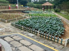 -天河儿童公园