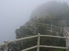 -牛背梁国家森林公园