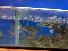 -李东农庄(中南百草园地标店)