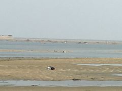 -北海金海湾红树林生态旅游区