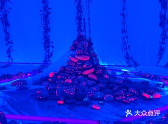 成都｜0元看展｜“巨出片”小众展踩雷