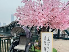 -武汉知音号
