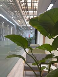 点击看大图 -27°罗马风情婚纱摄影