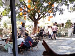 -长洲岛都市农业公园