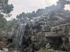 -上海鲜花港
