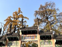 -老鼎万春卤菜(五代传承创始老店)