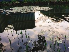 -星巴克(深圳前海企业公馆店)