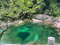 -黄山翡翠谷景区