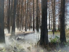 -东湖落雁景区