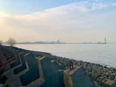 -上海滨江森林公园