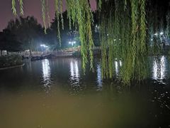 -黄村公园