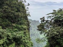 -峨眉山风景名胜区